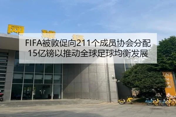 FIFA被敦促向211个成员协会分配15亿镑以推动全球足球均衡发展